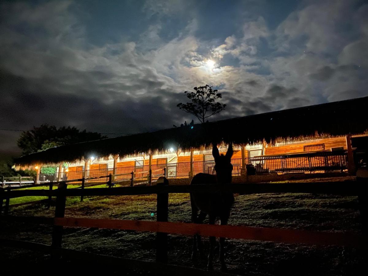 La Victoria Hotel Campestre キンバヤ エクステリア 写真